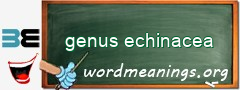 WordMeaning blackboard for genus echinacea